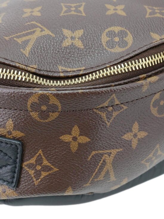 Louis Vuitton  Palm Spring PM Monogram Canvas Backpack Brown main image 11